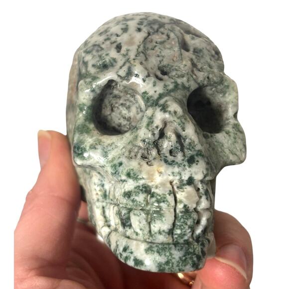 Natural Tree Agate Crystal Skull Head Carving Druzy Healing Stone Mineral - Picture 6 of 8